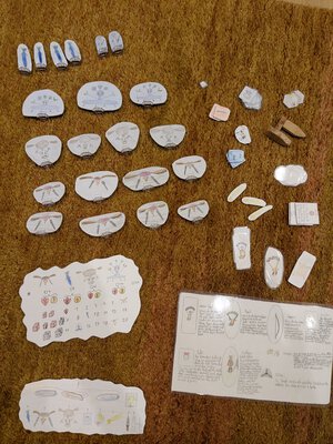 PXL_20250430_203328995.jpg