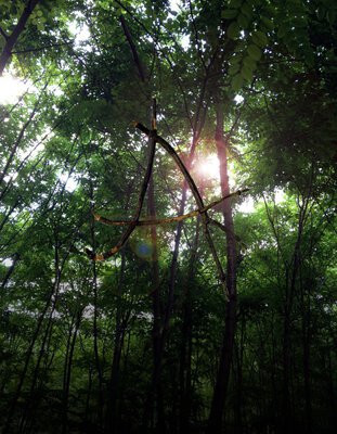 Erzählkosmos 2.jpg