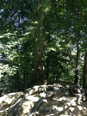 Erzählkosmos 4.jpg